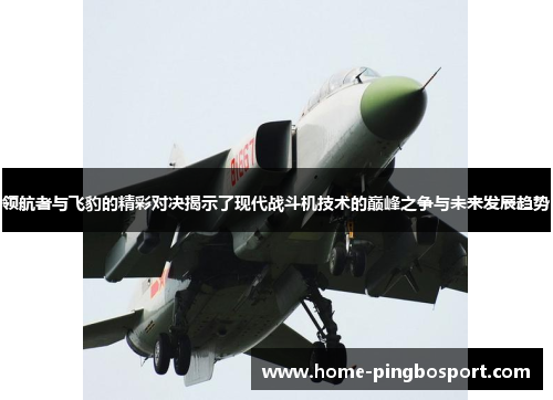 领航者与飞豹的精彩对决揭示了现代战斗机技术的巅峰之争与未来发展趋势